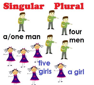 singular and plural nouns